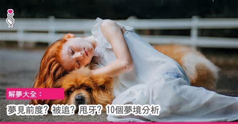 夢境分析|周公解夢大全：100個常見夢境，隨時用隨時查（建議。